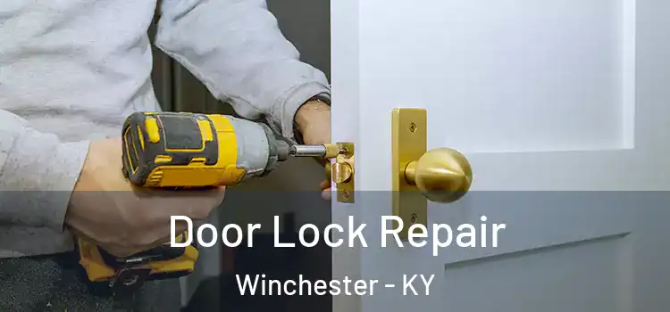 Door Lock Repair Winchester - KY