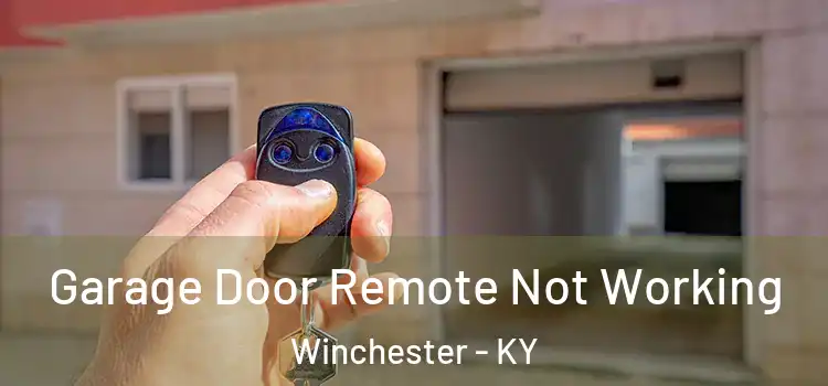  Garage Door Remote Not Working Winchester - KY