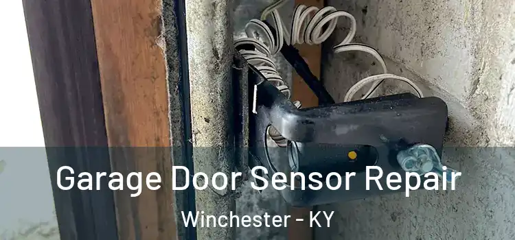 Garage Door Sensor Repair Winchester - KY