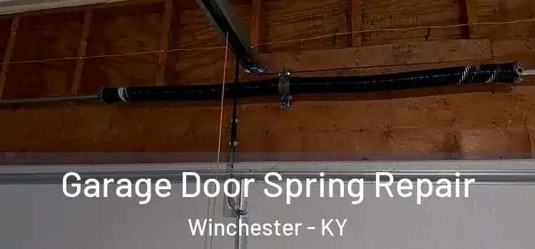  Garage Door Spring Repair Winchester - KY