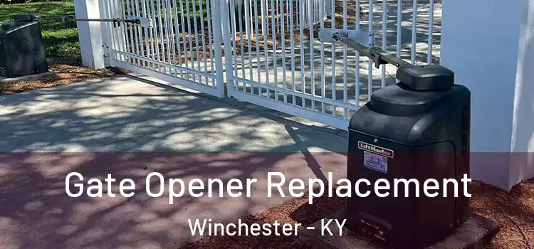 Gate Opener Replacement Winchester - KY