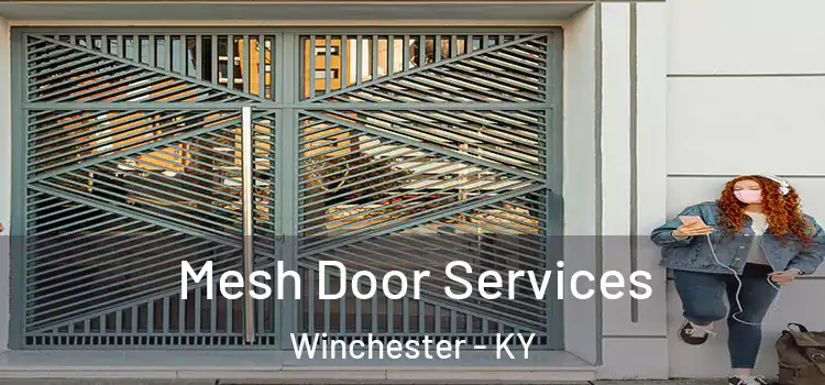 Mesh Door Services Winchester - KY