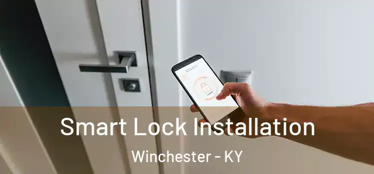 Smart Lock Installation Winchester - KY